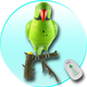 Illustration for article titled Polly Want a Wireless Doorbell?